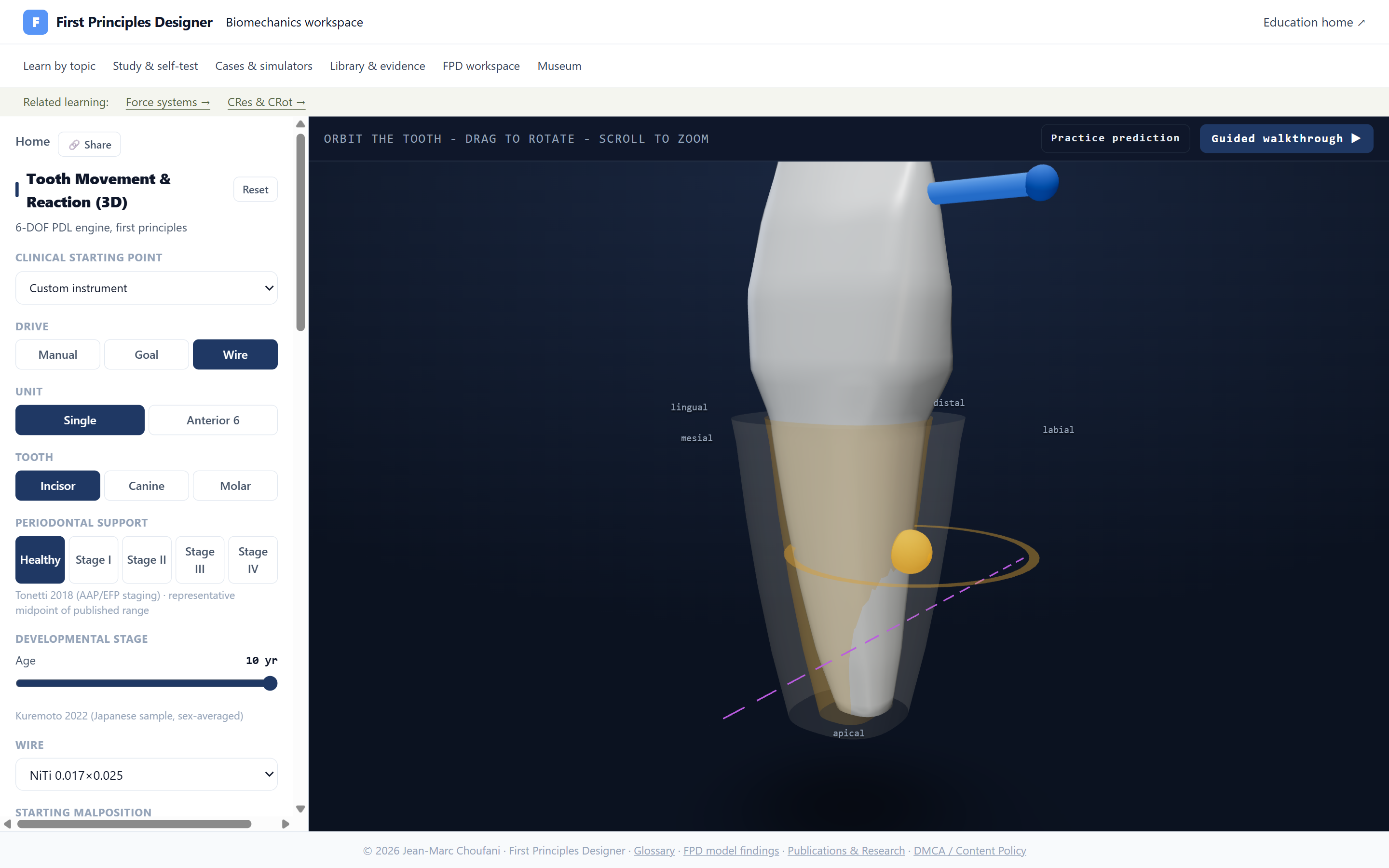 The live Tooth Movement & Reaction (3D) tool: a single incisor with its periodontal-ligament envelope under an applied force, showing the center of resistance and the center-of-rotation axis, beside controls for tooth, periodontal support, developmental stage and wire.