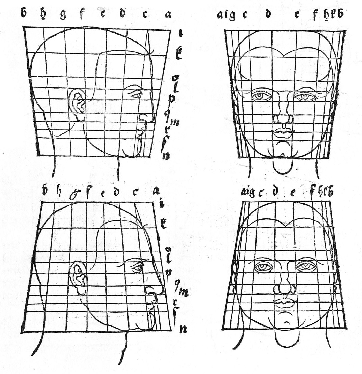 Dürer’s four gridded studies of human head proportions